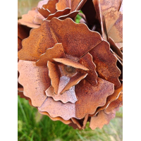 gebogen roos ecoroest